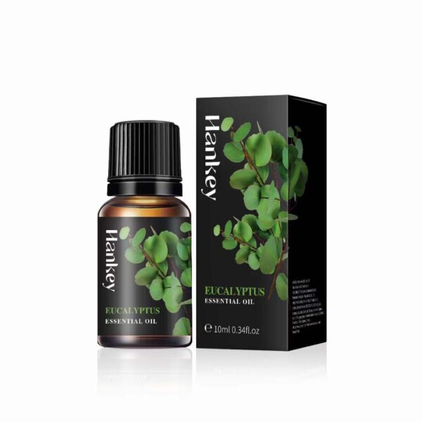 Spa Body Massage Essential Oil Eucalyptus