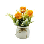 three roses potted plant orange